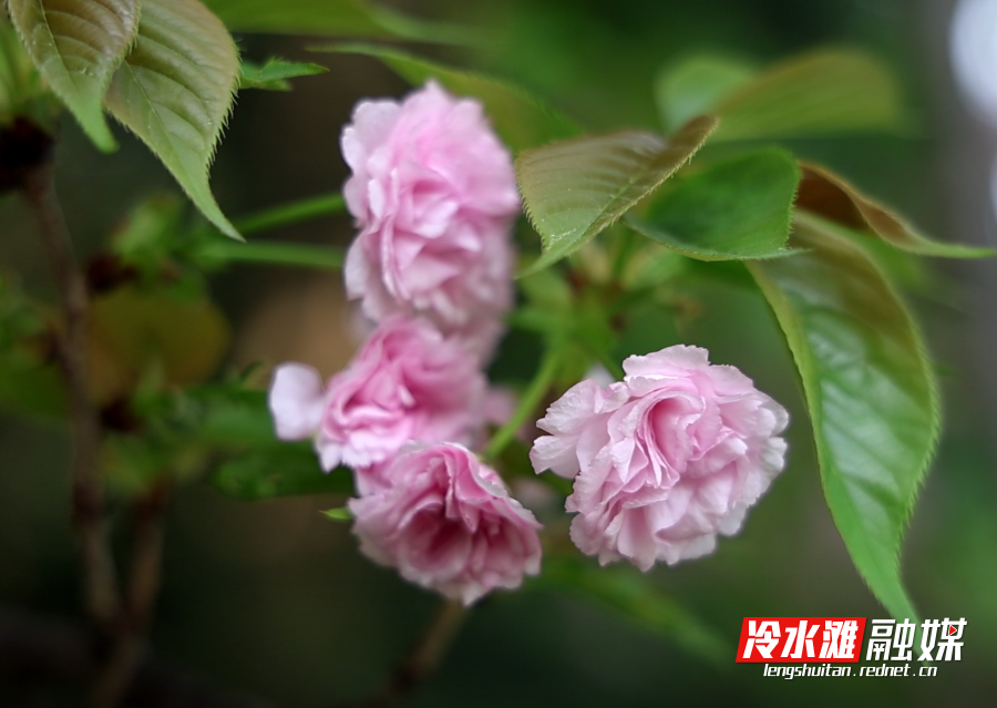 微信图片_20250418160151.png