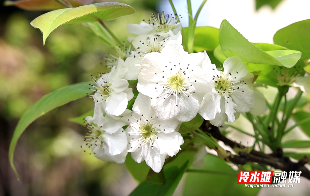 微信图片_20250418160134.png