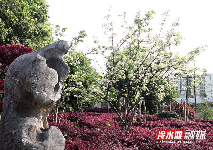 微信图片_20250418160155.png