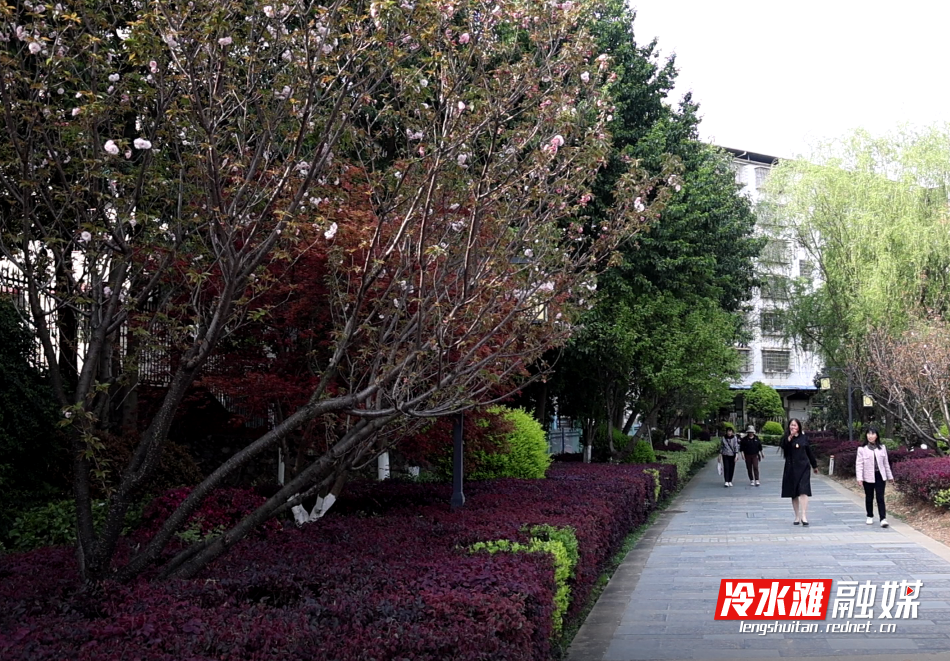 微信图片_20250418160158.png