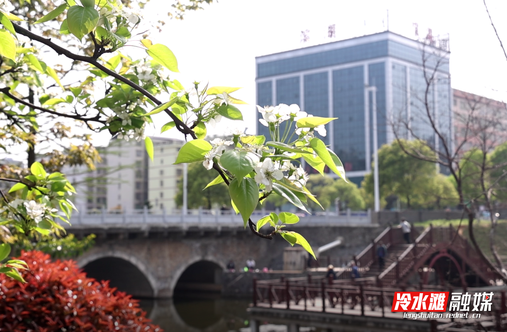 微信图片_20250418160138.png