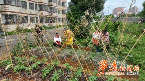 宁远：农艺疗法为精障患者点亮希望之光_副本500.jpg