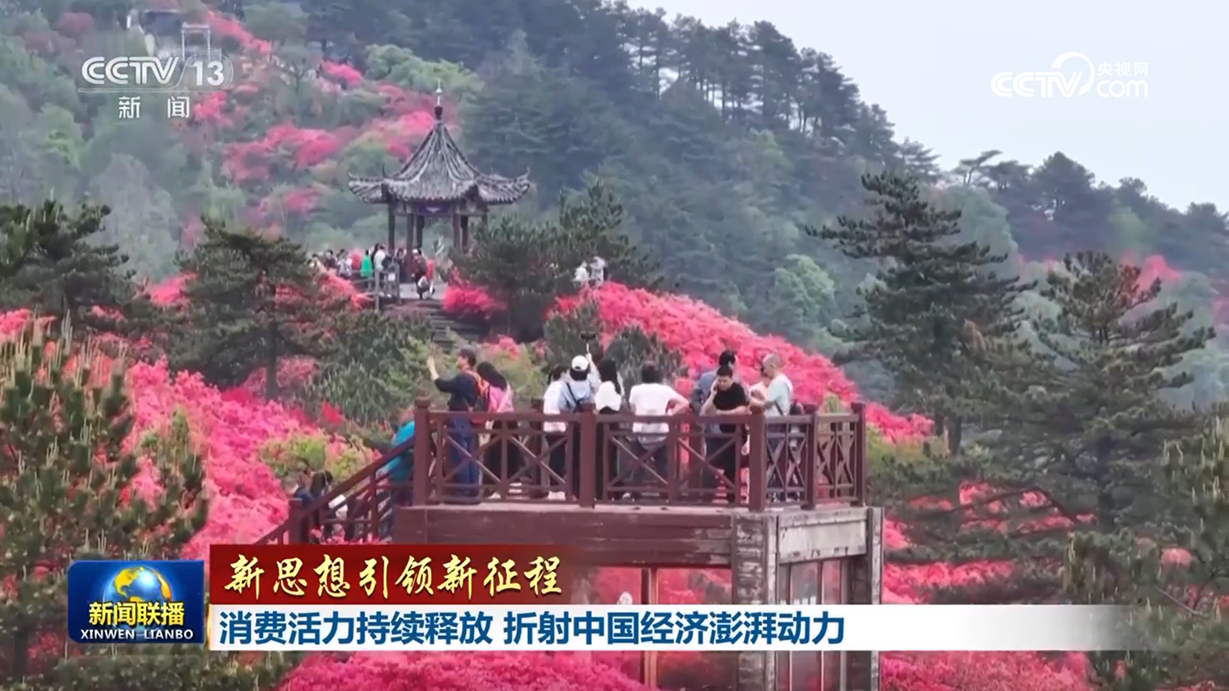 新的想法导致了新的旅程丨消费生命力继续消失