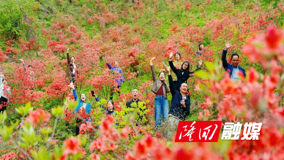 WPS图片(1).jpeg