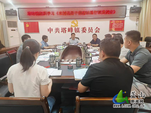 塔峰镇组织学习《农村基层干部廉洁履行职责规定》.jpg
