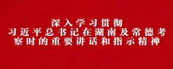 深入学习贯彻习近平总书记在湖南及常德考察时的重要讲话和指示精神
