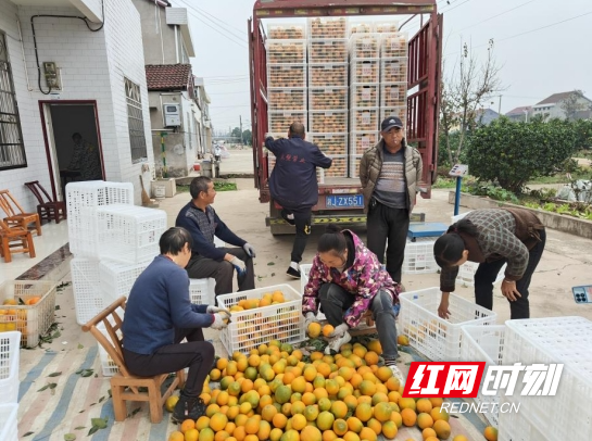 微信截图_20241126155420.png