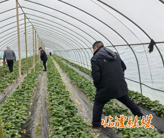 微信截图_20250113170204.png
