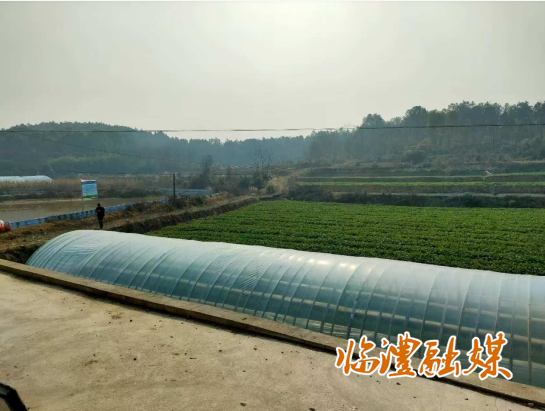 微信截图_20250113170214.png