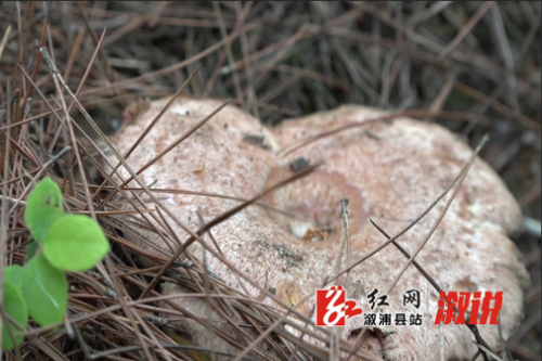 微信截图_20250508185003.png