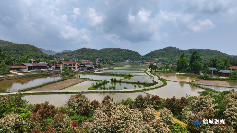 怀化市鹤城区：黄岩大坪村 云端田园绘就初夏美景（4K）.mp4_20250509_151805.524.jpg