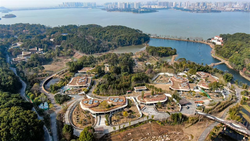 南湖之畔的岳阳中华大熊猫苑。岳阳市委宣传部供图