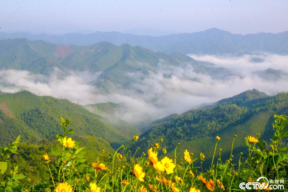 PHOTZOhgPxPgF4IAftCdQ44F250511_1000x2000.jpg