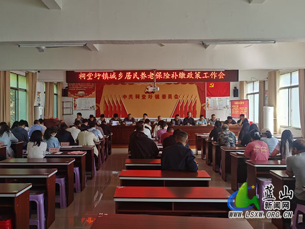 祠堂圩镇召开城乡居民养老保险补缴政策宣传工作会.jpg
