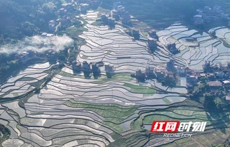 湖南道县：诗画梯田夏耕忙