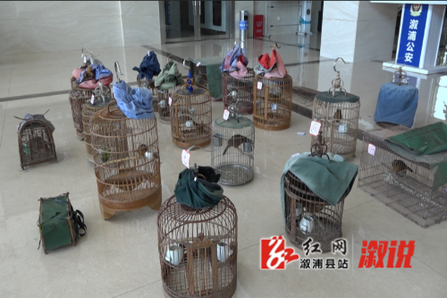 微信截图_20250513224405.png