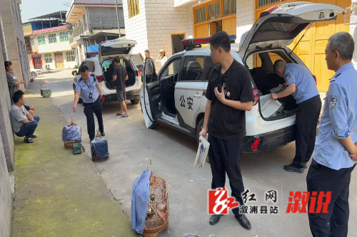 微信图片_20250513230951.jpg