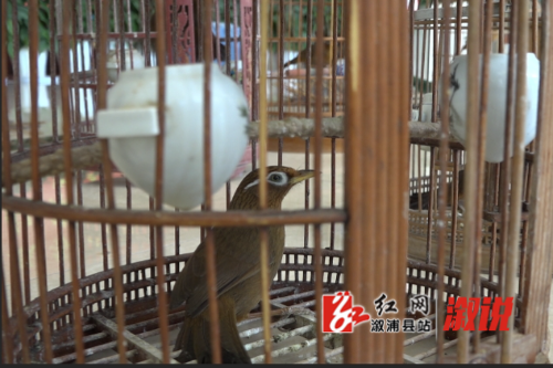微信截图_20250513232352.png