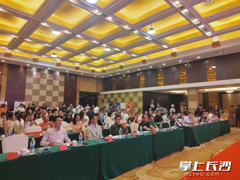 大会召开。照片均为主办方 供图