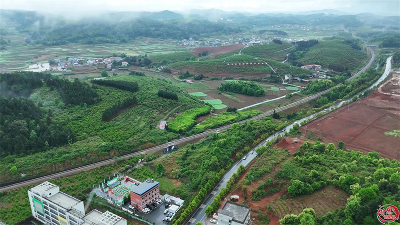 邵阳县：“奔跑吧·邵阳”万亩油茶林健康跑激情开跑！(图4)