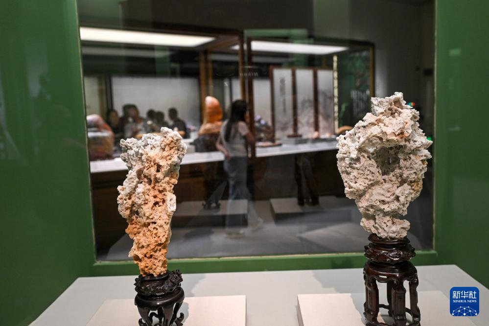 “石韵天成——中国观赏石艺术展”开幕