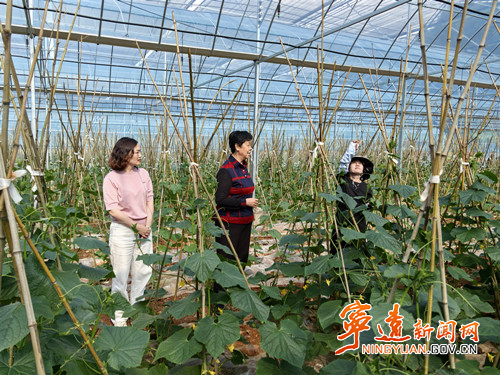 市关工委、市农业农村局来宁远调研“三扶两创”工作情况_副本500.jpg