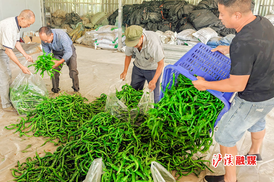286464083912199582.jpg 286464083912199582.jpg