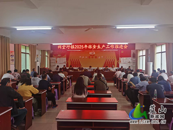 祠堂圩镇召开2025年粮食生产工作推进会.jpg