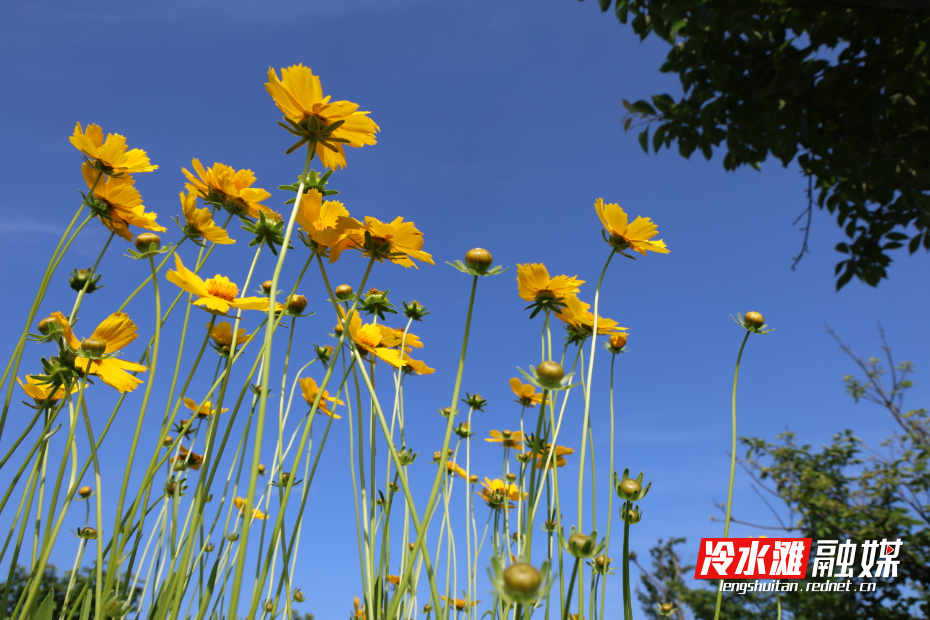 微信图片_20250516095443.jpg