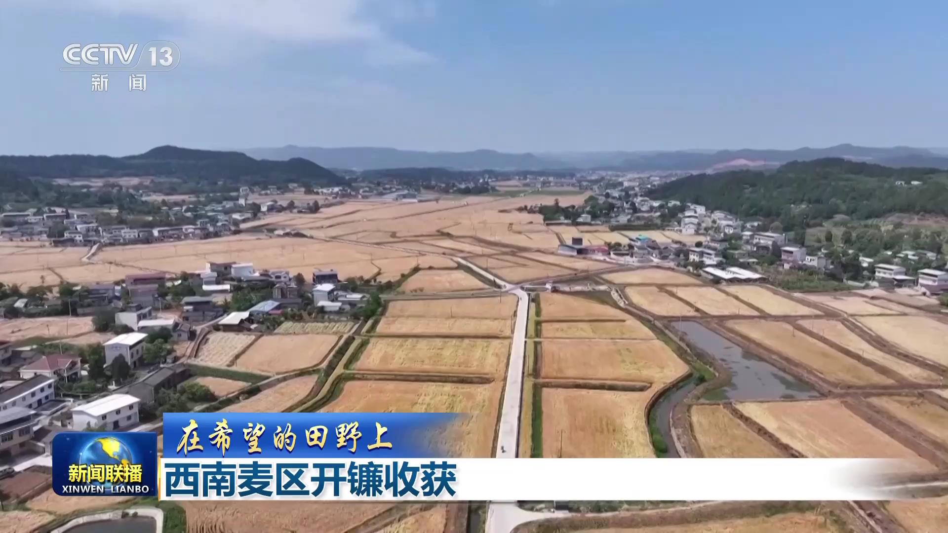 【在希望的田野上】西南麦区开镰收获