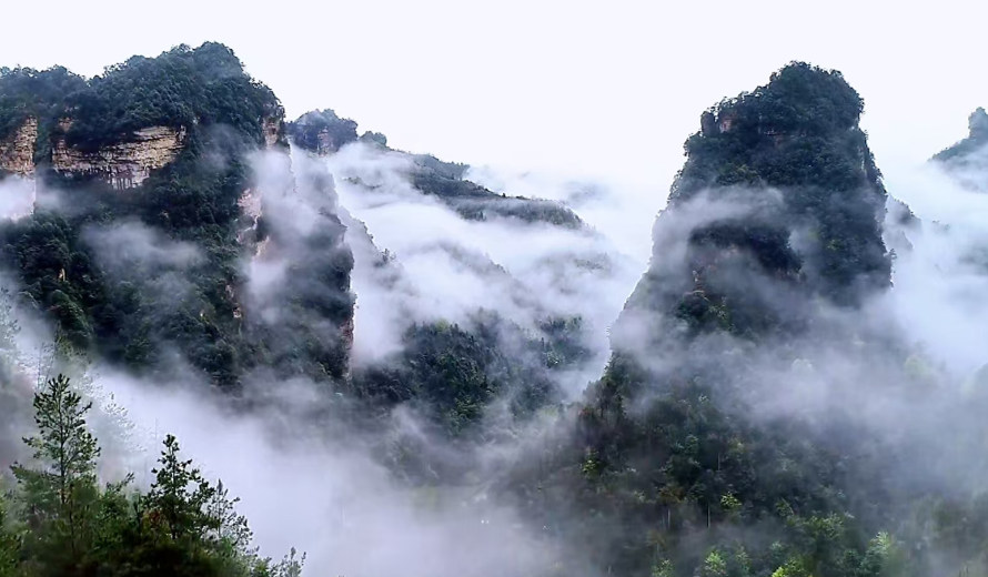 张家界十里画廊：雨后峰林焕新颜 游人沉醉绿野仙踪