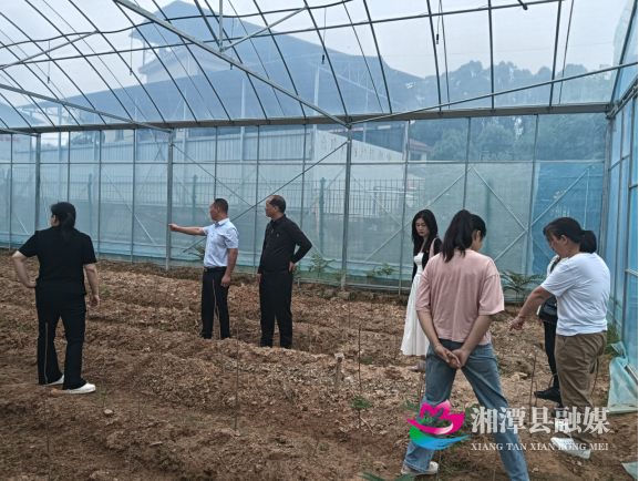 湘潭县两村开展乡村振兴互学共促活动307.png