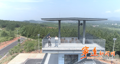 宁远：“人防+物防+技防”护航“千年鸟道”1_副本500.png