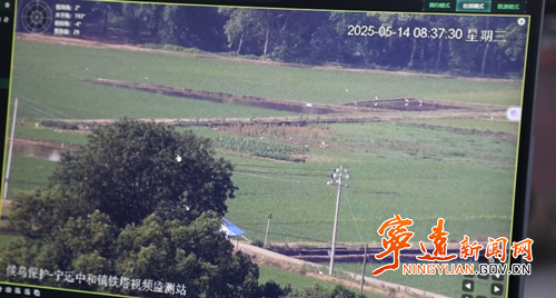 宁远：“人防+物防+技防”护航“2千年鸟道”_副本500.png