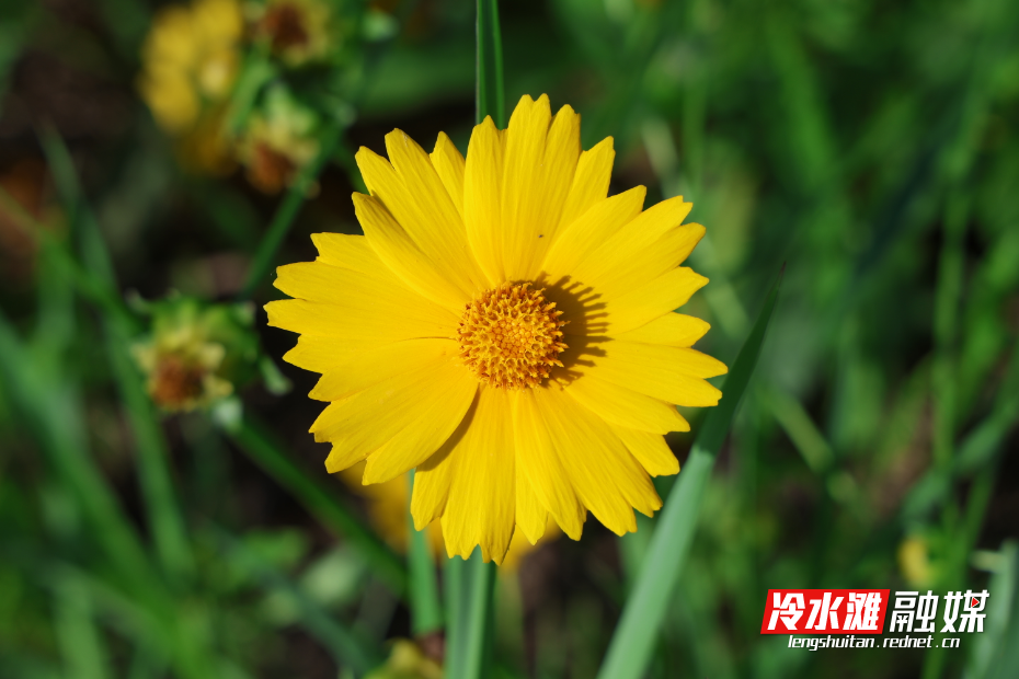 微信图片_20250516095431.jpg