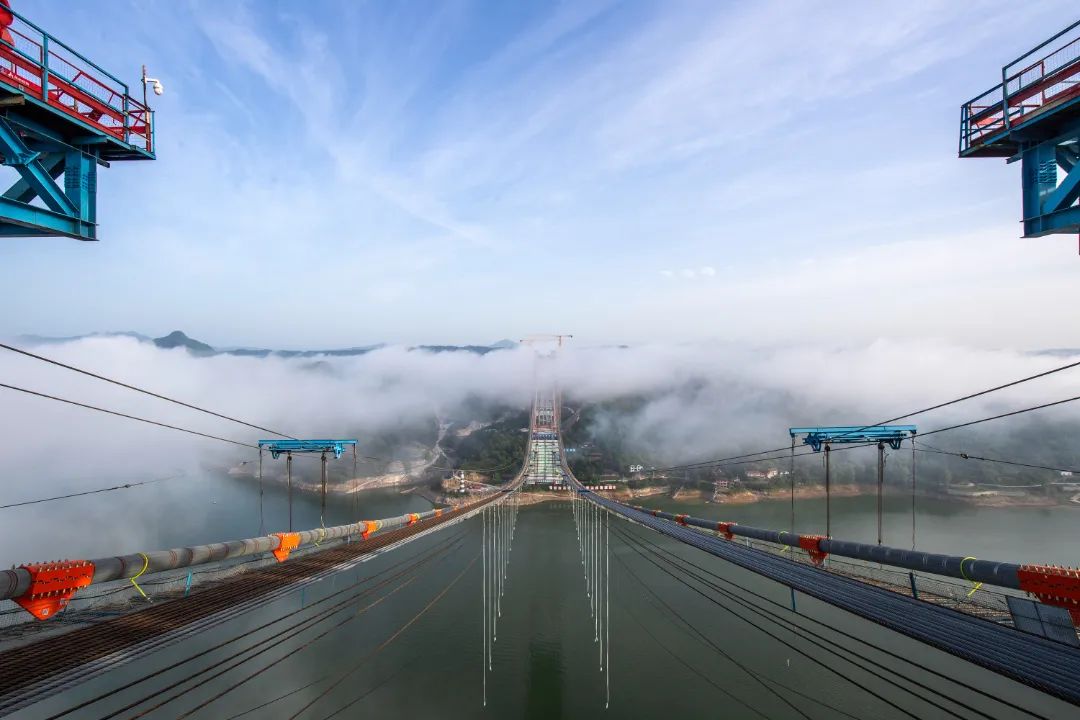 라이브 배팅