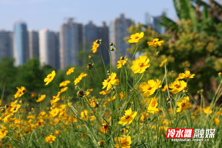 微信图片_20250516095439.jpg