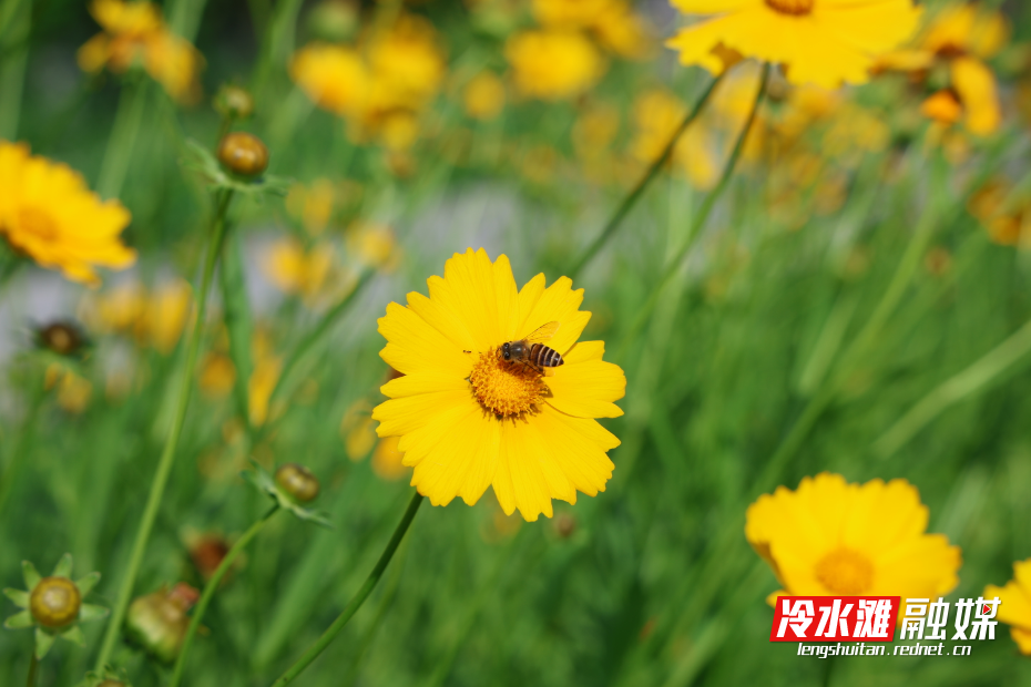 微信图片_20250516095426.jpg