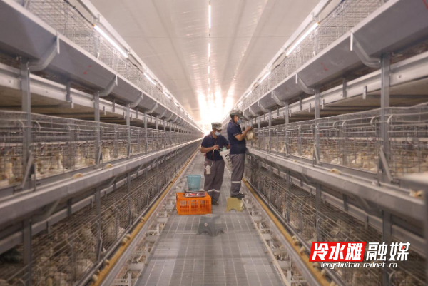 图片B21.png