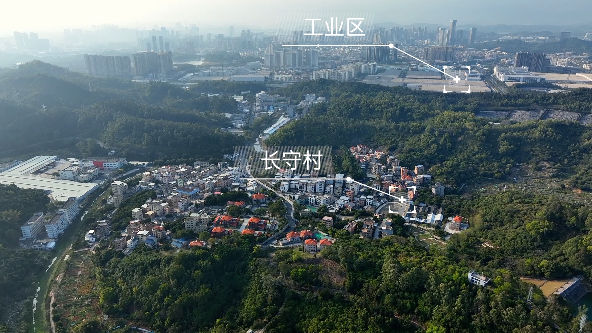 中国对新时代中国文化的研究｜记者的记者：在
