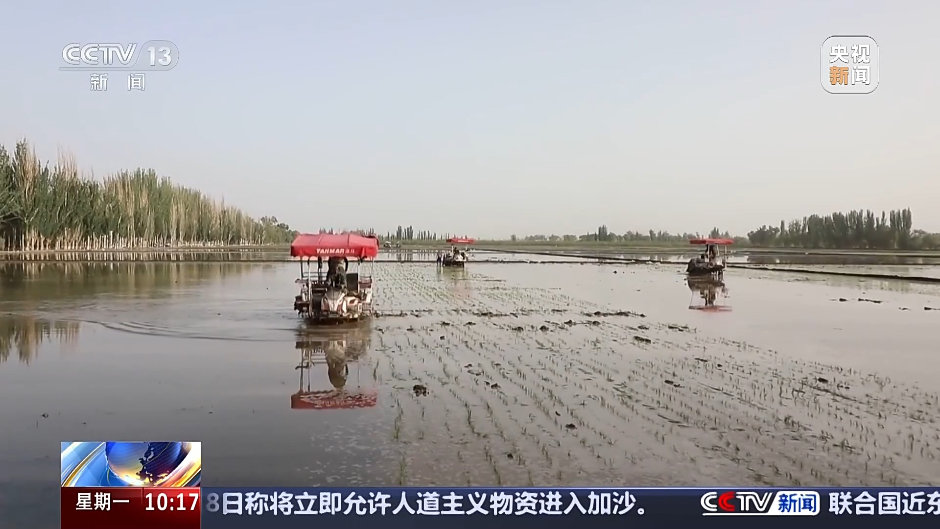 在希望领域|什么样的“黑色技术”用于在沙漠中