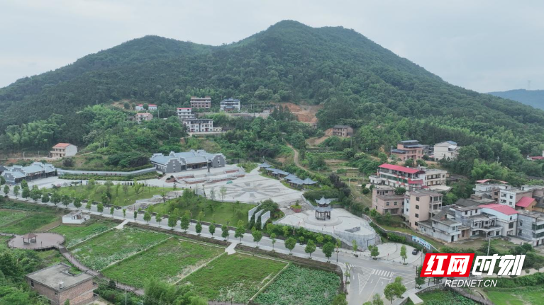 图片4.jpg