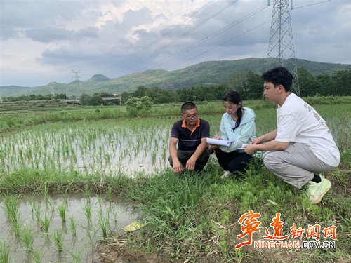 宁远：科技特派员田间地头开展科技服务_副本500.jpg