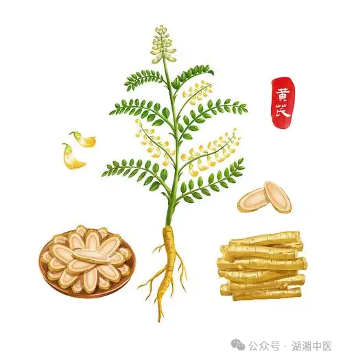 微信图片_20250516173222.png