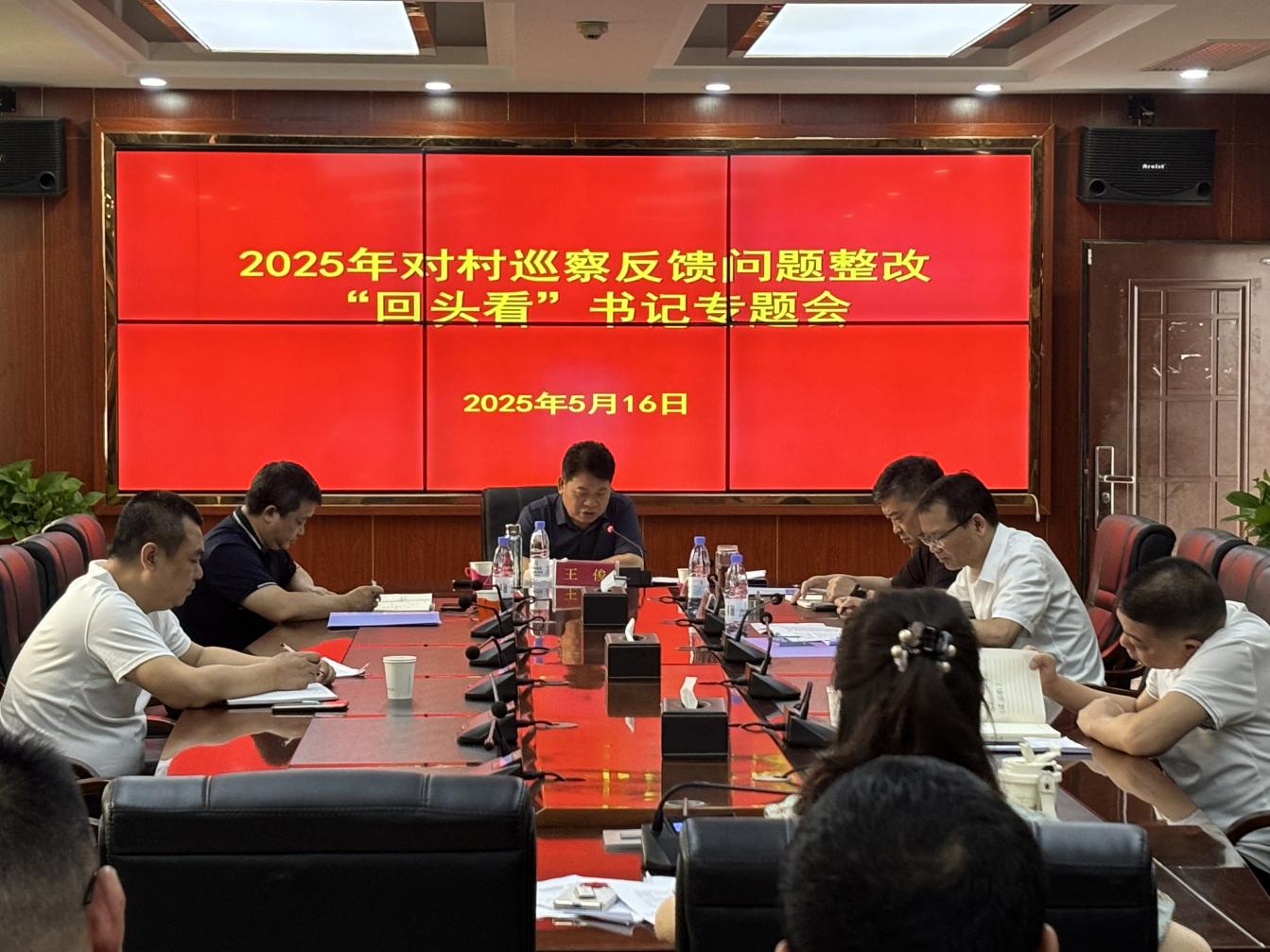 大祥区召开书记专题会议听取对村（社区）巡察反馈问题整改“回头看”综合情况汇报