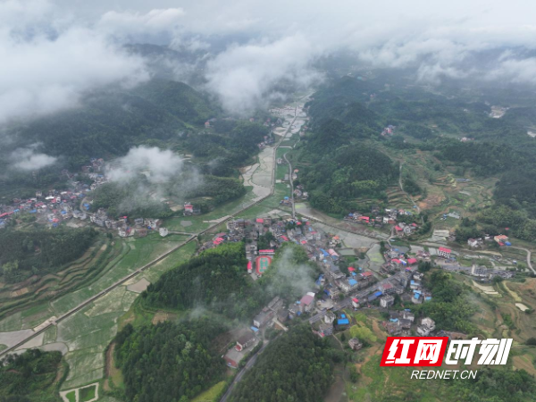 微信图片_20250520150522.png