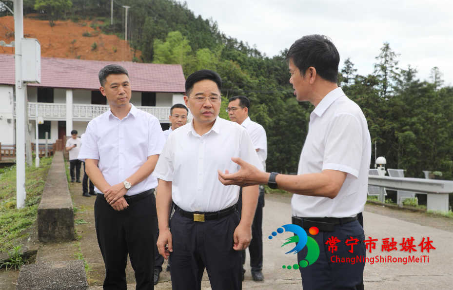 罗卫华到洋泉镇调研(1).jpg