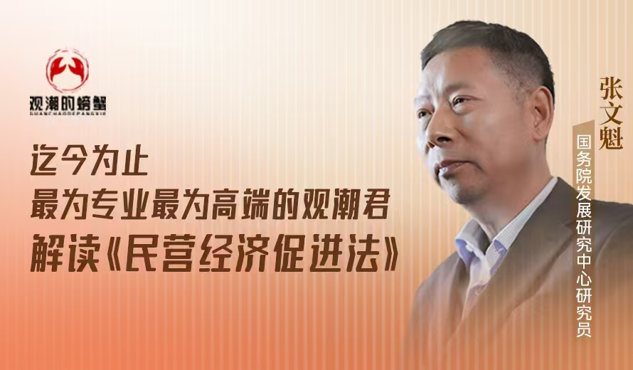 观潮的螃蟹丨国研中心张文魁：《民营经济促进法》实施，以明法条扫除隐障碍