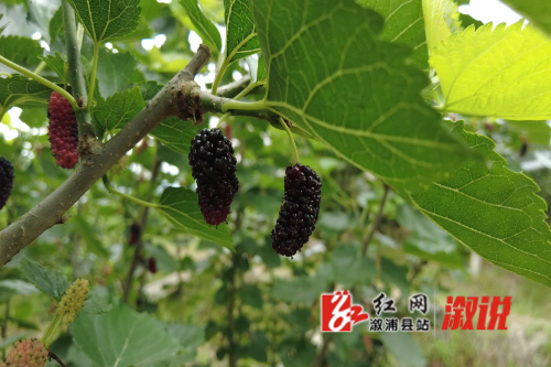 微信图片_20250520202407.png