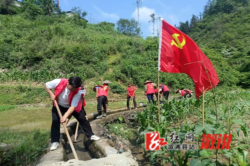 抗旱1.jpg